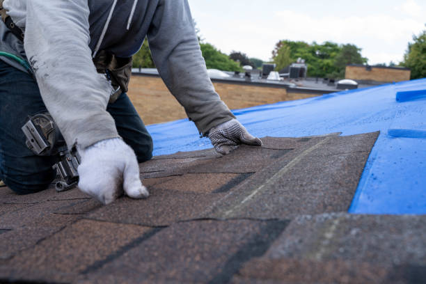 Professional  Roofing repair and installation in Corry, PA